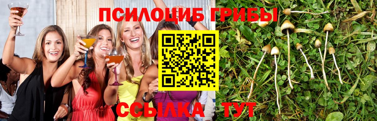 Галлюциногенные грибы мухоморы Кудымкар